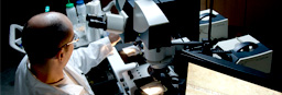 Evidence Examination: What Happens at the Lab?